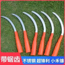 ��X砵����ܼ��XС�̾²˵���̳���砵����С��Ӹ�ݵ��r��