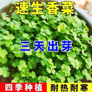 �������·N���װlѿ���~��˷N��������͟��ļ��̨�҃�