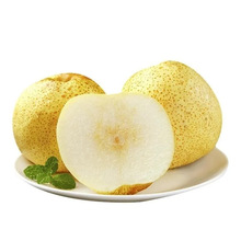 安徽砀山酥梨梨子产地直发包邮酥梨一件代发