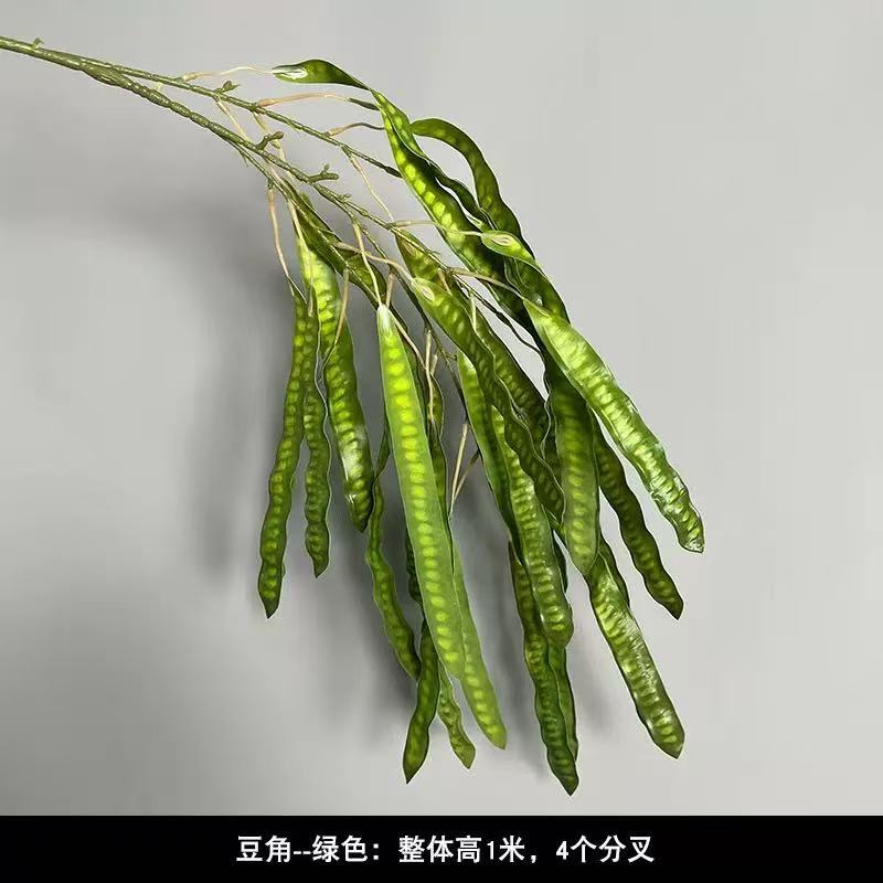 豆角绿色