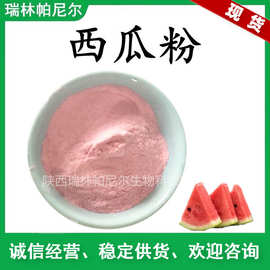 西瓜粉 西瓜果粉 水溶性固体饮料烘焙代餐 瑞帕批发 西瓜汁粉