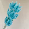 A bunch of bright blue rabbit tail grass contains about 60 pieces