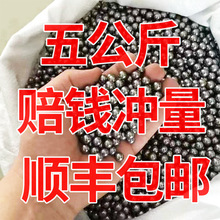 ?����8��������5���ﵯ�����7mm9mm8mm�������鵯��������
