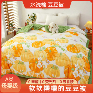 25 Years New Milk Velvet Bean Quilt Student Dormitory Cartoon Spring & Fall Quilt Washed Cotton Four-Season Quilt Core Wholesale