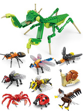 �_�Ƿeľ�������x�к�ƴ�b������������ģ�̓�ͯС�w��ƴ�Dƴ��