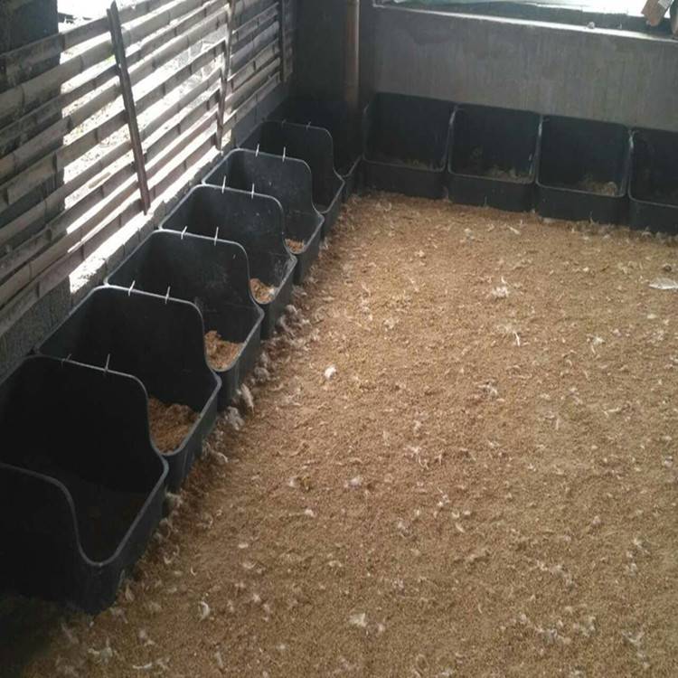 种鸭蛋窝 有底鸭蛋窝 种鸭场用鸭蛋窝 优质塑料鸭蛋窝厂家