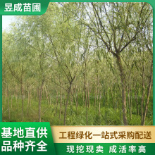 ؏5-8ֻl̈@ֵ·ļGе