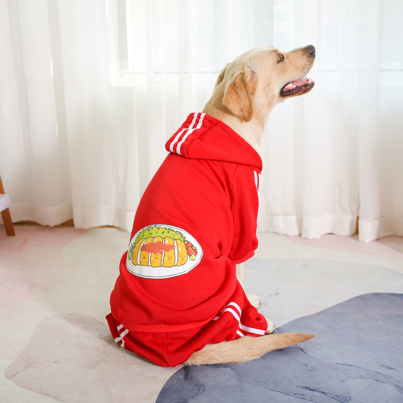 小中大型犬春秋冬は帽子をかぶっています。|undefined