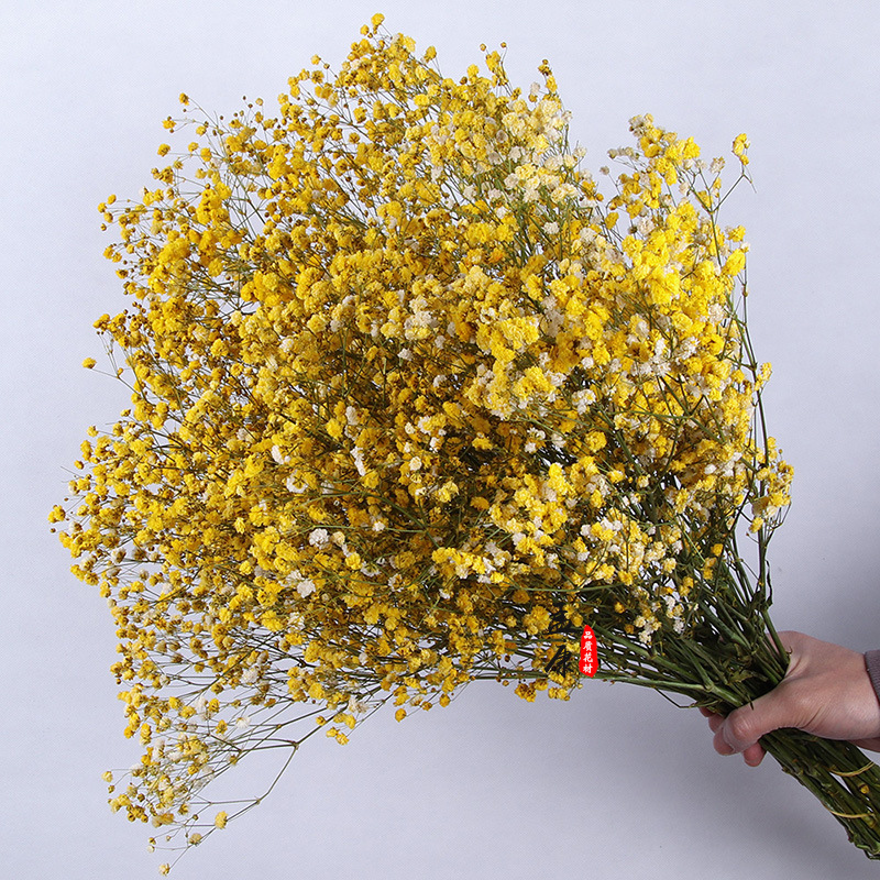 Yongsheng flor estrellado flor seca grande al por mayor regalo de flores de San Valentín Regalo de Cumpleaños gran manojo de ramo de flores reales