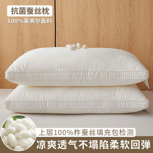 2025 New Type a Silk Pillow Embroidered Mulberry Silk Soft Rebound Non-Collapse Stereo Removable and Washable Pillow Pair 2