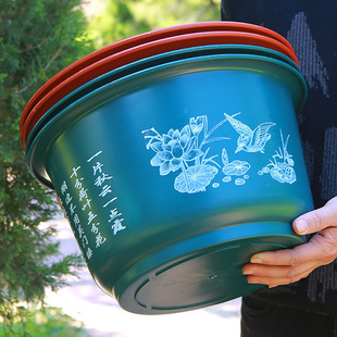 �ش�ɻ���Ӻ�o���B�~����ˮ�B˯ɏ�~�X��ɏźˮ��Nֲ��ɏ����