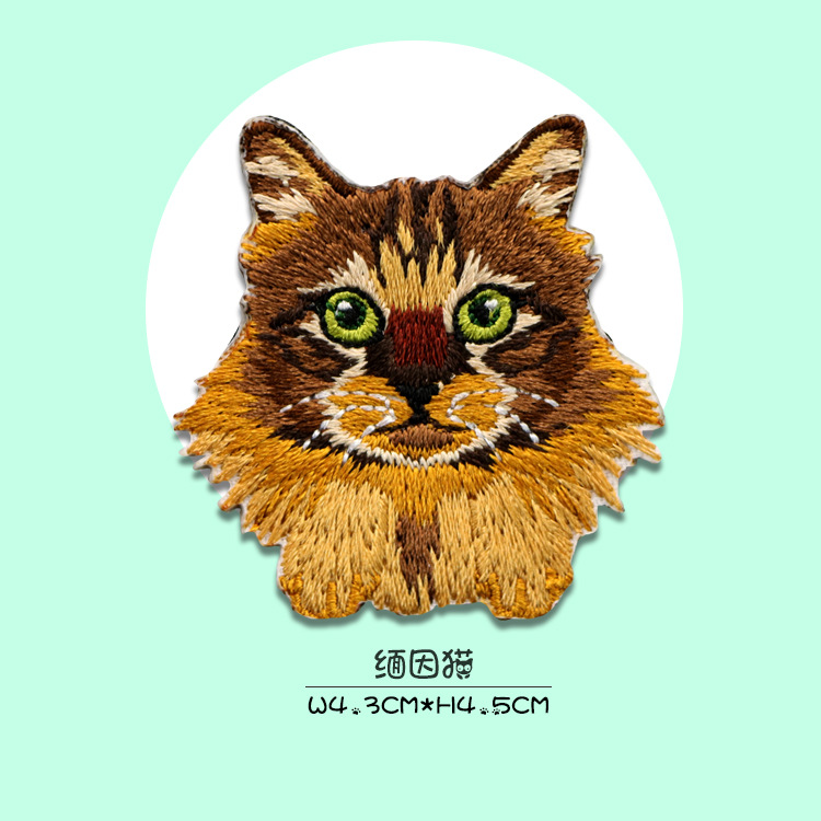 缅因猫.jpg