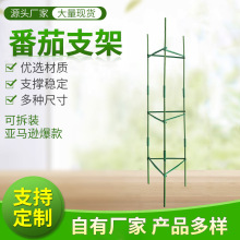 西红柿架番茄阳台种植支架黄瓜豆角爬藤架月季花植物固定架园艺