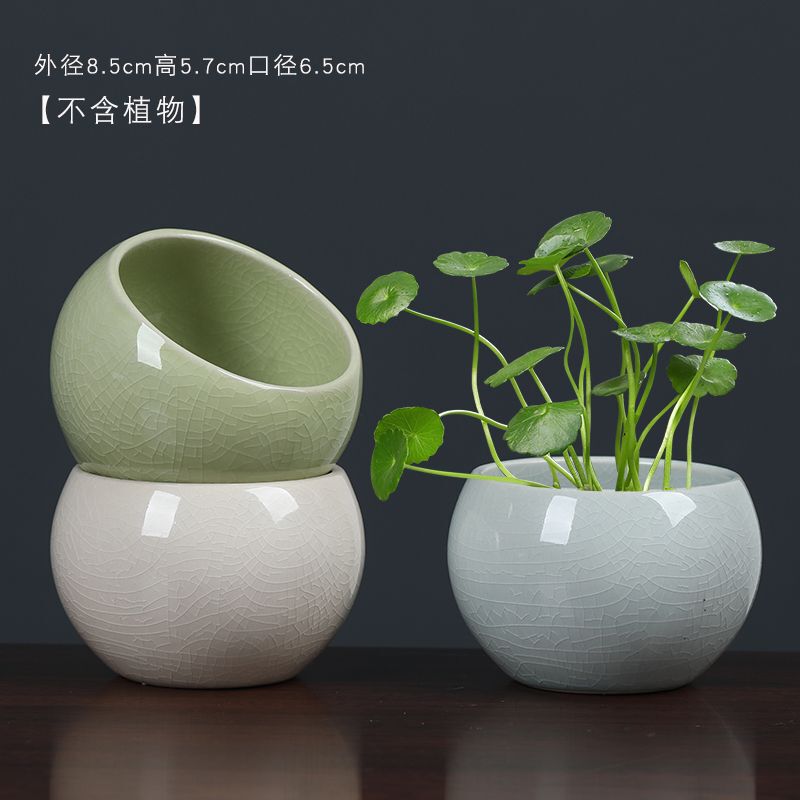 Ceramic Ge Kiln Crackle Ceramic Hydroponic Small Flower Pot Non-Porous Flower Bowl Green Plant Container Fresh Clearance Desktop Flower Vessel