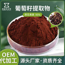 葡萄籽提取物95%化妆品原料 原花青素 批发定制葡萄籽提取物