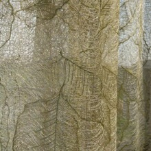 Դ^S¿ߙnz~ɫw̽͏dz͸̨