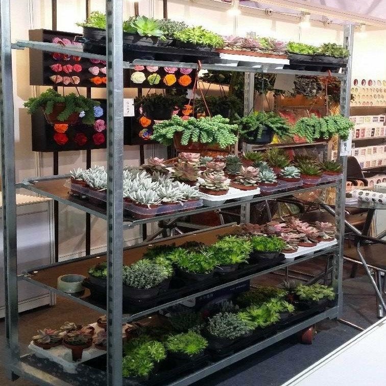 批发育苗车花架车热镀锌穴盘车园林农场基地育苗床手推催芽车