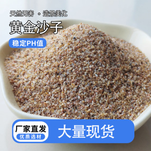 ���Sɳ��ˮ���쾰�~�׵�ɰ��ͯɳ�����Sɳ��Ƥɰ�Sʯ�ӽ��S��ɰ