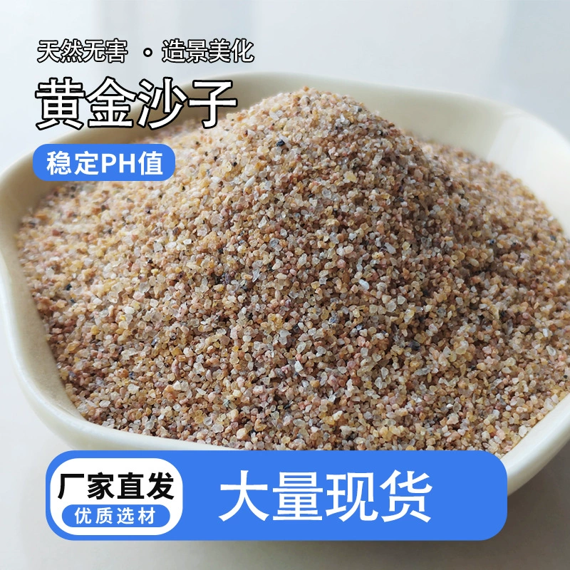 Золотой песок аквариумное аквариум нижний песок детский пляж мелкий желтый песок тигровая кожа песок желтый камень золотой цветной песок песок