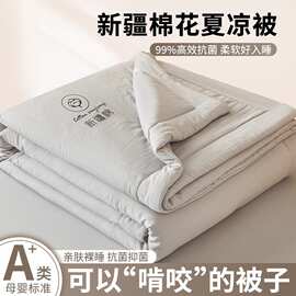 新款新疆纯棉全棉空调被夏凉被夏季双人薄被子宿舍单人学生可机洗