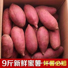 ���r����9������t��ɳ�����ĵع��r���ԷN���ퟟ������ɽ������