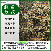 �s�S�ݻ�Ұ����Ʒ500g�� �Ĵ����Aȫ���s�S����ș�����л�����ˮ