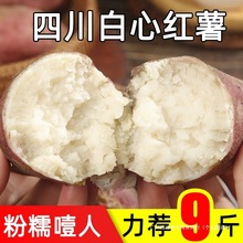 ļtrFƷNɽtƤعϰȿtҭ˰