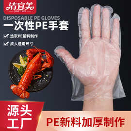 一次性手套 PE手套 一次性塑料手套食品医疗烧烤家用清洁用品批发