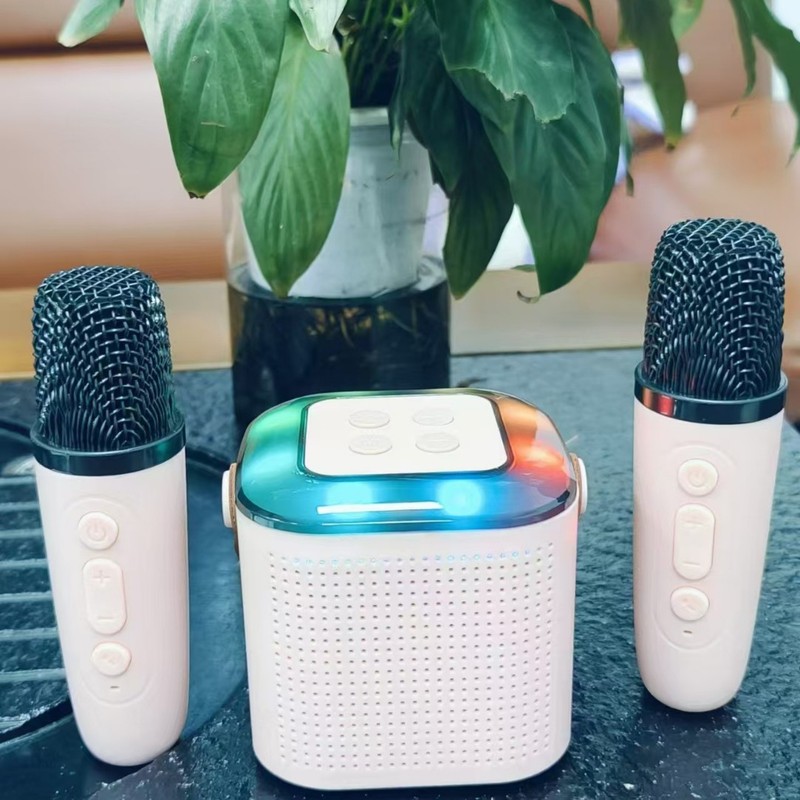 Y1ブルートゥースオーディオk歌一体屋外ホームパーティーセット無線マイクマイクミニbluetoothスピーカー|undefined