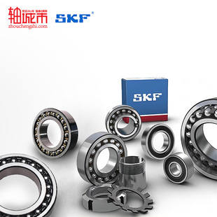 SKF˹�P�����{�����S��1215 1216 1217 2218 1316 2310 2313K