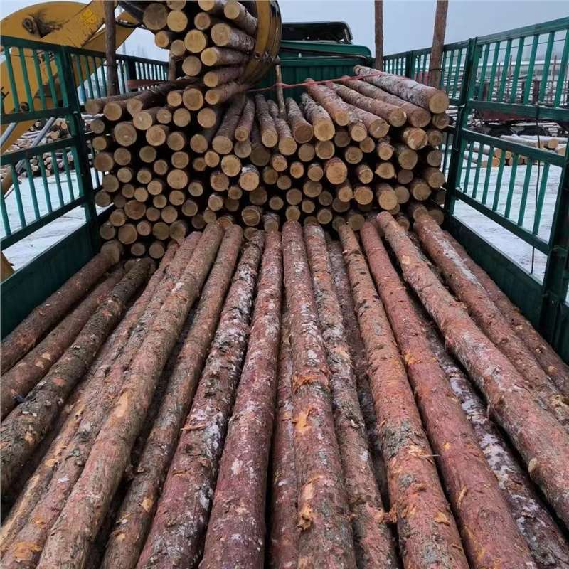 甘肃九泉河道进口万松木桩原木打桩木带皮松木圆木树桩能防汛木桩