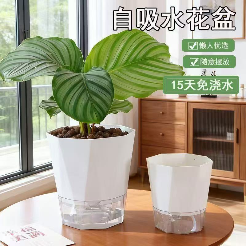 Nuevo riego libre maceta de flores autoabsorción de agua perezosa red rojo verde rosa rosa rosa galón maceta de plástico balcón orquídea maceta de carne