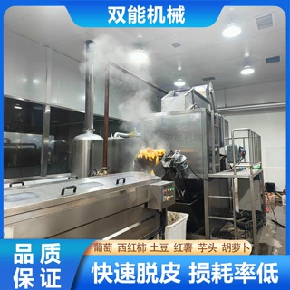 红薯蒸汽去皮机 食品级不锈钢蒸汽脱皮设备 果蔬加工厂红薯去皮机