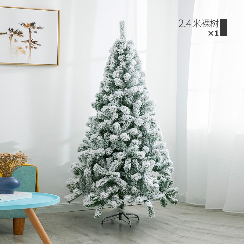 2.4m 벌거벗은 나무