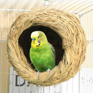 �ݾ��B�C��Ƥ���Pĵ���W�^�����CС�B����ֳ�䶬���ݸC��ů��Ʒ