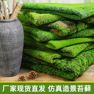 ֲ���ƺ����̦�\�Gɫ��̦�\��̦΢���^�辰�쾰�b��ϲ�ƺ