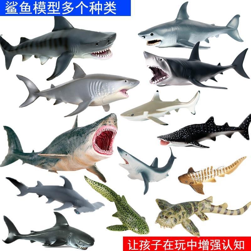 鲨鱼玩具大白鲨巨齿鲨虎鲨锤头鲨海洋生物玩偶儿童模型礼物跨跨境