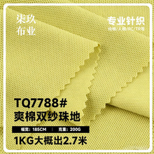 现货200g韩国雪花珠地布 网眼布针织布料 商务Polo衫上衣珠地面料