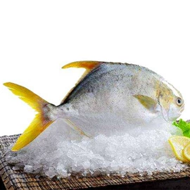 腌制水产品;鱼类;水产干货类