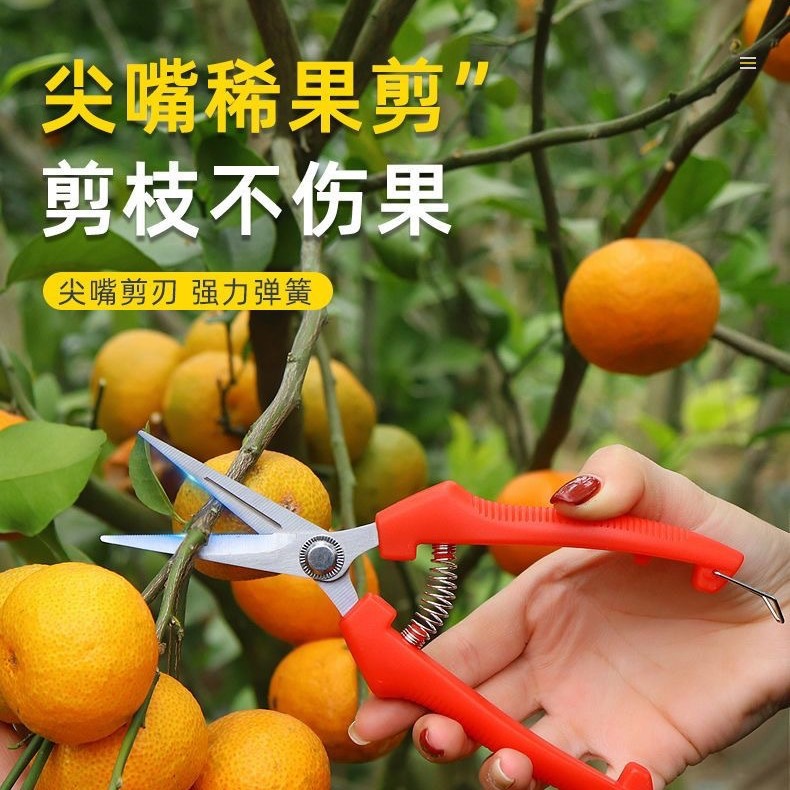 省力园艺修枝剪防滑手柄防锈刃口锋利耐用快开合果树花木修剪神器