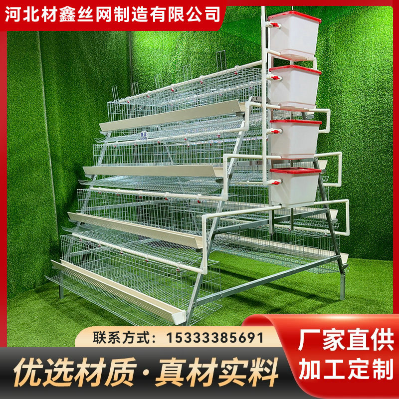 阶梯式蛋鸡笼A型养殖场养鸡养殖笼层叠式蛋鸡笼子全套设备鸡笼子