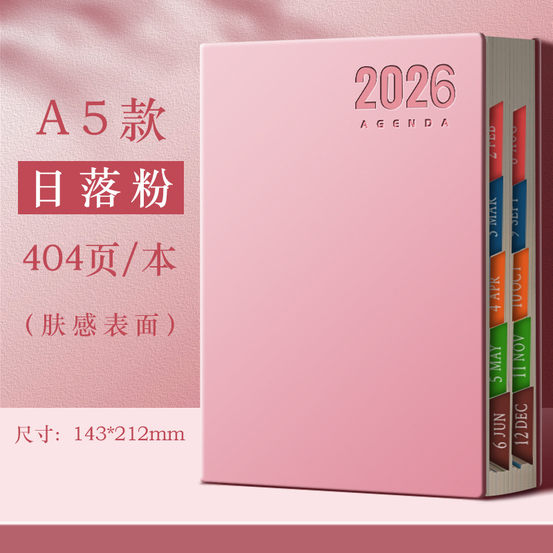 Agenda 2026 Cuaderno de notas Plan diario Cuaderno de notas Calendario Manual de tarjetas perforadas Gestión de eficiencia Autodisciplina