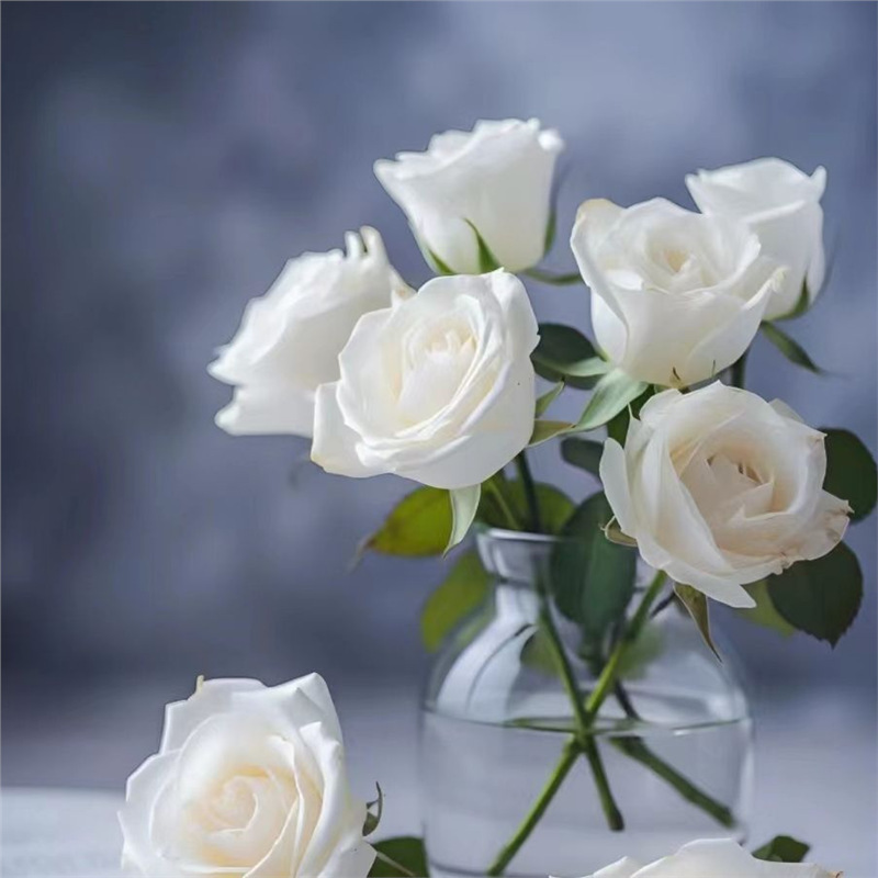 Semillas de flor de rosa, flores grandes, rosas, enredaderas, semillas de flores de rosas, cuatro estaciones, jardín, enredaderas, plantas trepadoras, semillas de flores