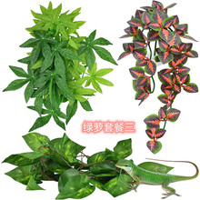 ����ˮ��ֲ�����x��B��ˮ���~���쾰����ֲ���ٗl���ɫ�G�}�ײ�