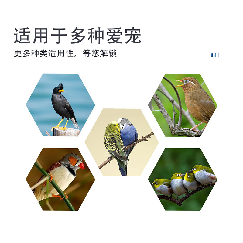 Jaula de plástico para pájaros, jaula para loros, codorniz grande y pequeña, puede ver el nido de pájaros, alimentador, fabricante de stock image 2