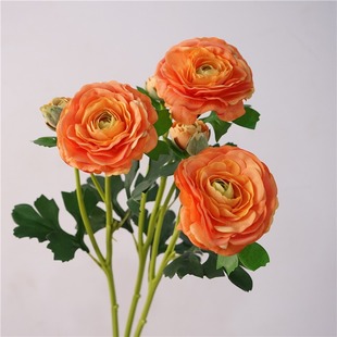 ���s�������滨�ָ�¶ɏ��ëݹ�͏d�҃Ȳ廨�[�O�F����ˇ�����ٻ�