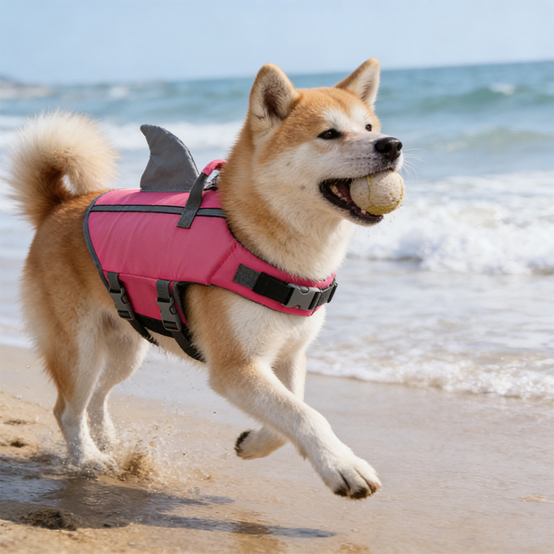 Shark Fin Dog Swimsuit
