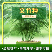 ����N���ļ��׻��҃ȷ�ݗ���̨���ԾGֲ�׷N���ܷN���^�~�N��