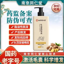 南京同仁堂碧妍德防脱洗发露防脱育发生姜洗发水滋养头皮一件起批