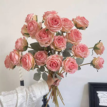 �羳���潹��õ�廨�������������Ҿ�װ�μٻ��廨��Ӱ�ڼ���